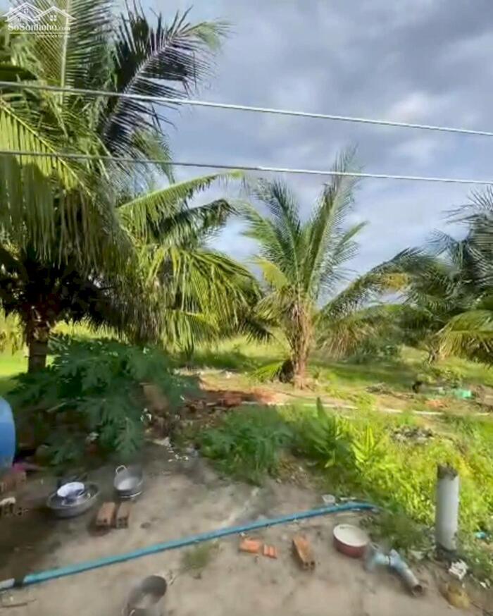 Hình ảnh 2,4 Mẫu Giá Chỉ 10 Tỷ Tân Hải LaGi Sẵn Nhà Vườn Đường Ô Tô 3