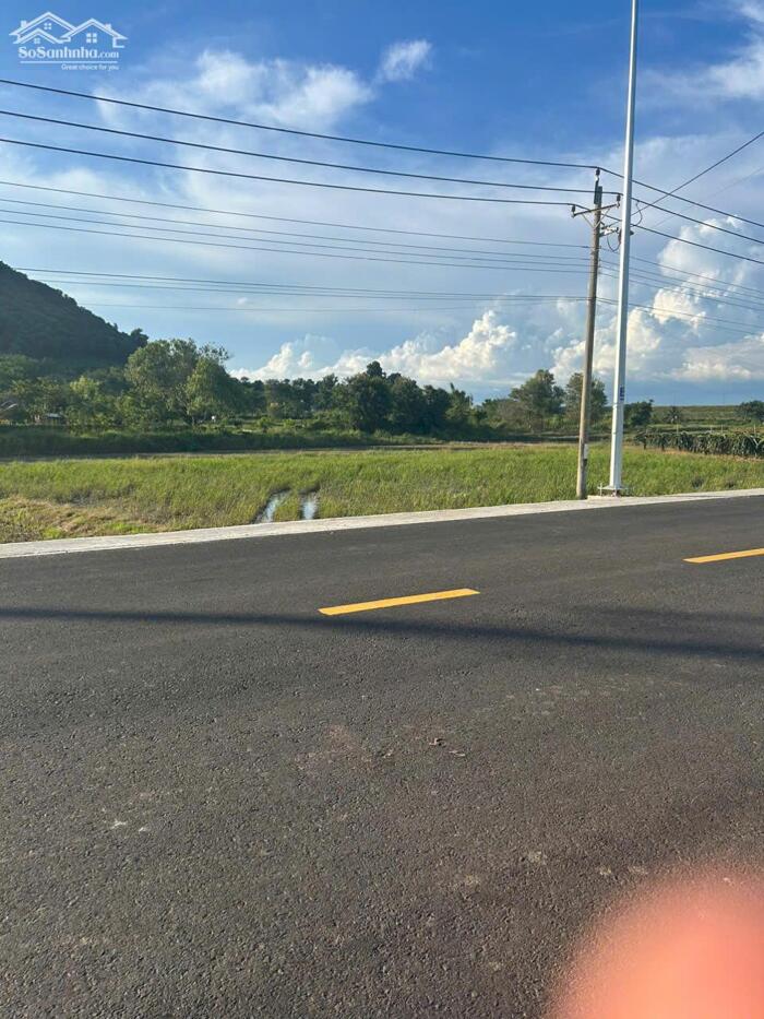 Hình ảnh 1482m2 Nguyễn Minh Châu Tân Tiến LaGi Đường Nhựa Giá Chỉ 1,8 Tỷ 0