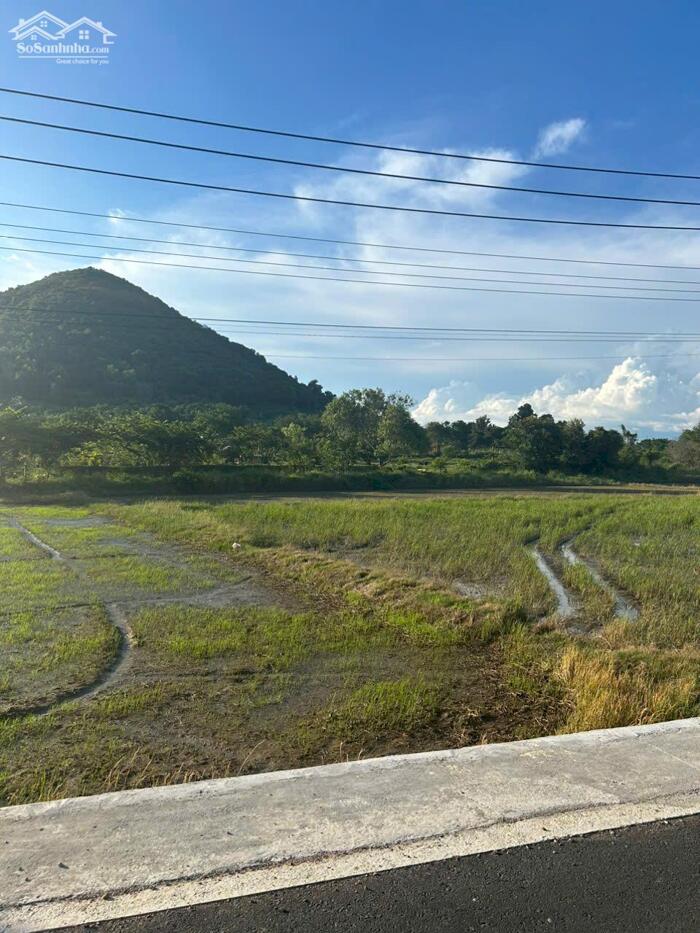 Hình ảnh 1482m2 Nguyễn Minh Châu Tân Tiến LaGi Đường Nhựa Giá Chỉ 1,8 Tỷ 2