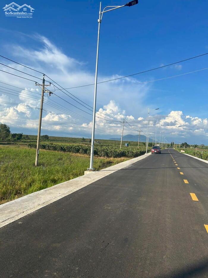 Hình ảnh 1482m2 Nguyễn Minh Châu Tân Tiến LaGi Đường Nhựa Giá Chỉ 1,8 Tỷ 3