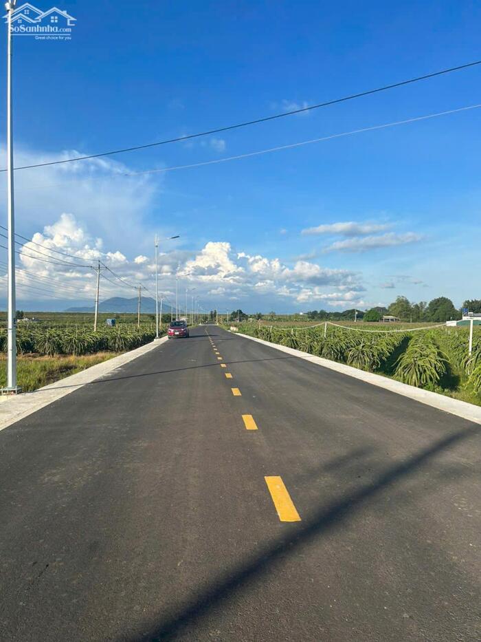 Hình ảnh 1482m2 Nguyễn Minh Châu Tân Tiến LaGi Đường Nhựa Giá Chỉ 1,8 Tỷ 1