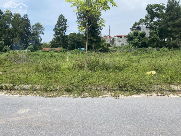 Hình ảnh Bán đất lô góc khu đô thị Vpit Praza, Định Trung, Vĩnh Yên, Vĩnh Phúc 2