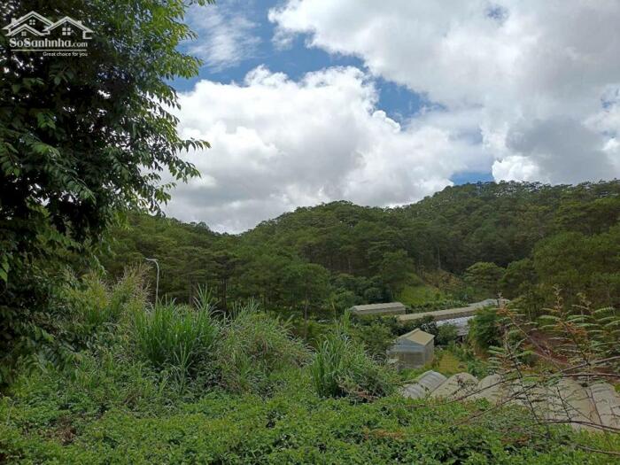 Hình ảnh Bán Khách Sạn Biệt Thự Hoàng Hoa Thám, Phường 10, TP. Đà Lạt 0