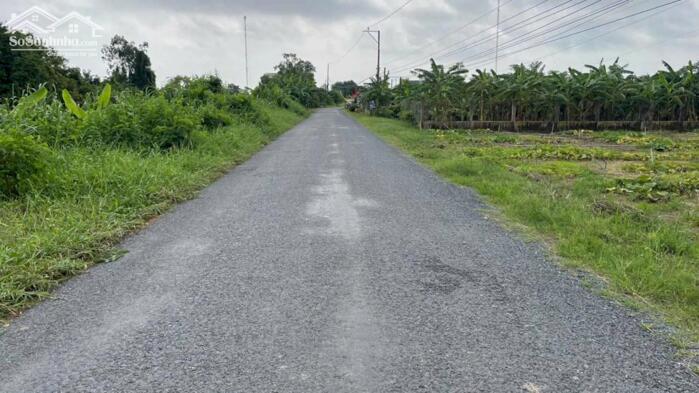 Hình ảnh B.á.n 2 công đất vườn mặt tiền nhựa TL871C, gần biển Rạch Bùn, Tân Điền, tỉnh Đồng Tháp mới. 0