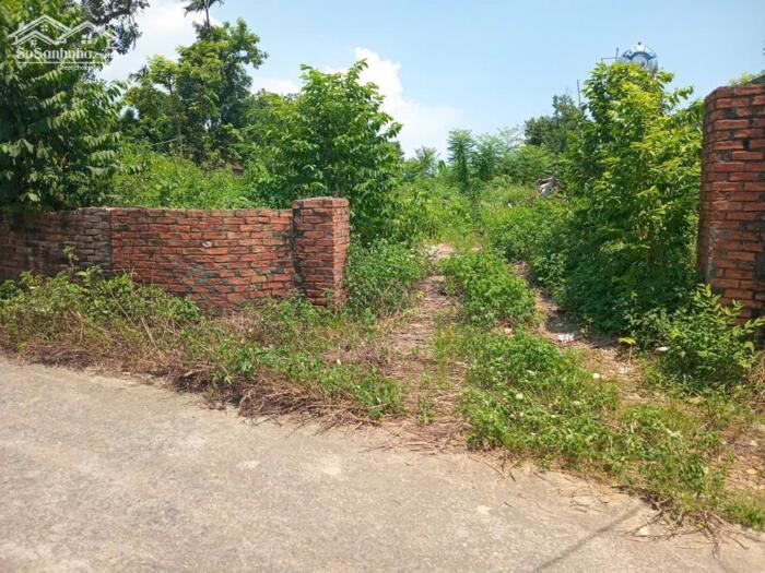 Hình ảnh Bán đất hơn 1000m² có 900m², Mặt tiền 17,6m ở Yên Kiện, Đông Sơn, Chương Mỹ. Nay là Phú Nghĩa Hà Nội. ️ Giá ĐT Bao đẹp chỉ hơn: 10tr/m² 2