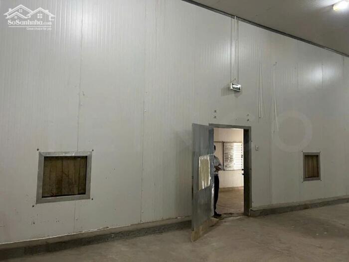 Hình ảnh Cho Thuê KHO LẠNH CẦN THƠ - cấp đông công suất 300 và 600 tấn, trong khu công nghiệp Trà Nóc 5