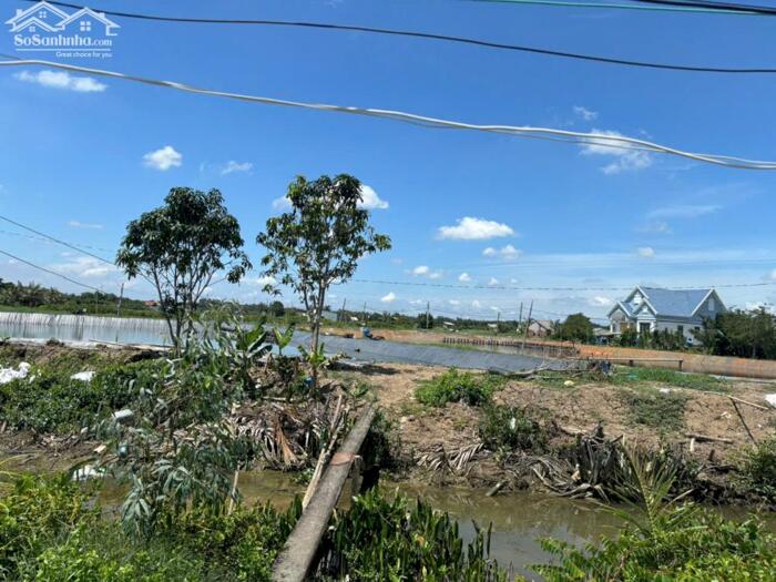 Hình ảnh Đất full thổ 609m2 mt view sông Vàm cỏ xã Tân Chánh giá rẻ trọn sổ 700tr 3