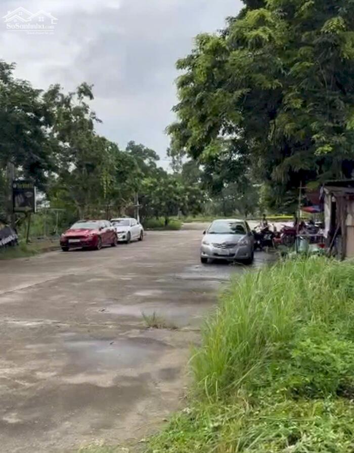 Hình ảnh Bán đất phân lô khu May Mặc, Kim Long, Tam Dương, Vĩnh Phúc 1