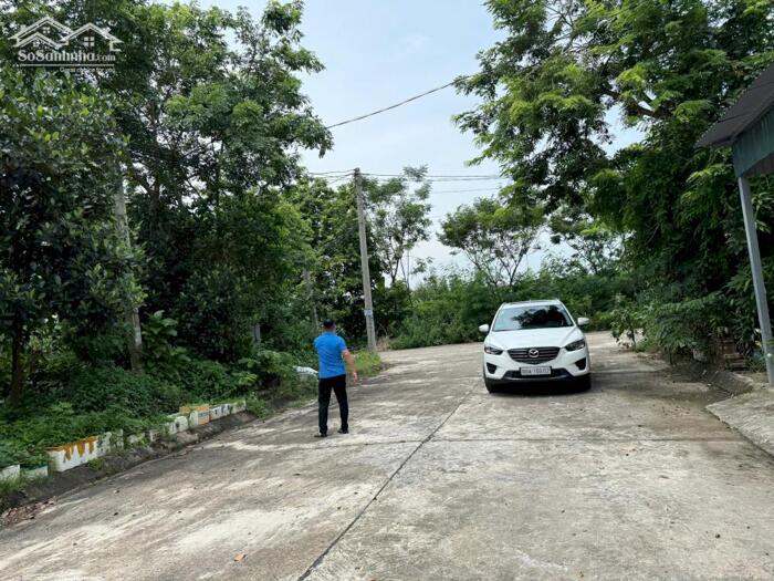 Hình ảnh Bán đất phân lô khu May Mặc, Kim Long, Tam Dương, Vĩnh Phúc 2