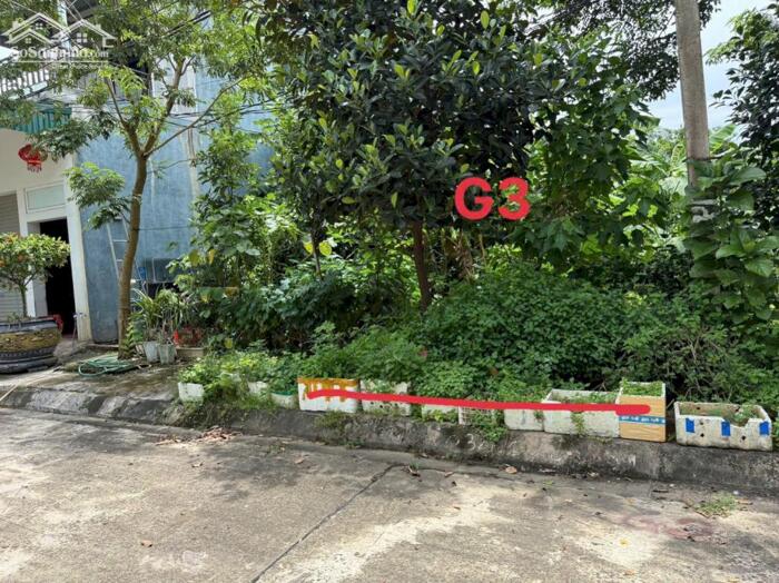 Hình ảnh Bán đất phân lô khu May Mặc, Kim Long, Tam Dương, Vĩnh Phúc 0