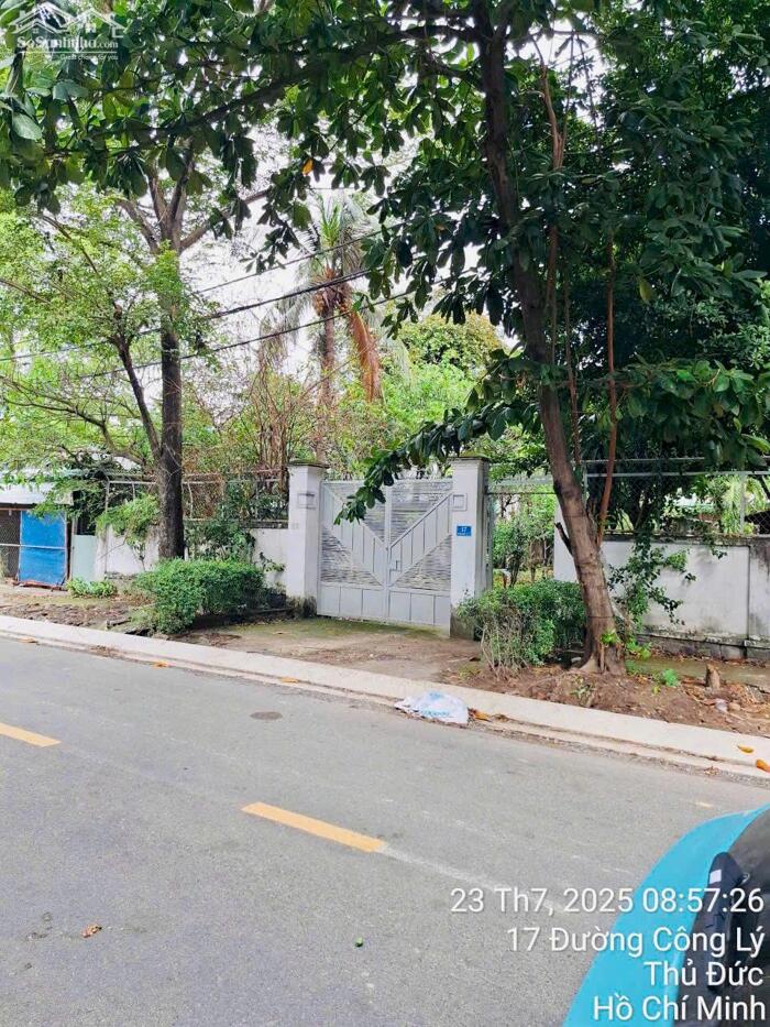 Hình ảnh Bán Đất 1580m2(32mx49m) Mặt Tiền Công Lý,Bình Thọ,Thủ Đức-Giá 130 Tỷ TL 0