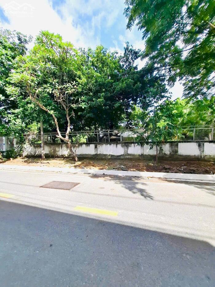 Hình ảnh Bán Đất 1580m2(32mx49m) Mặt Tiền Công Lý,Bình Thọ,Thủ Đức-Giá 130 Tỷ TL 2