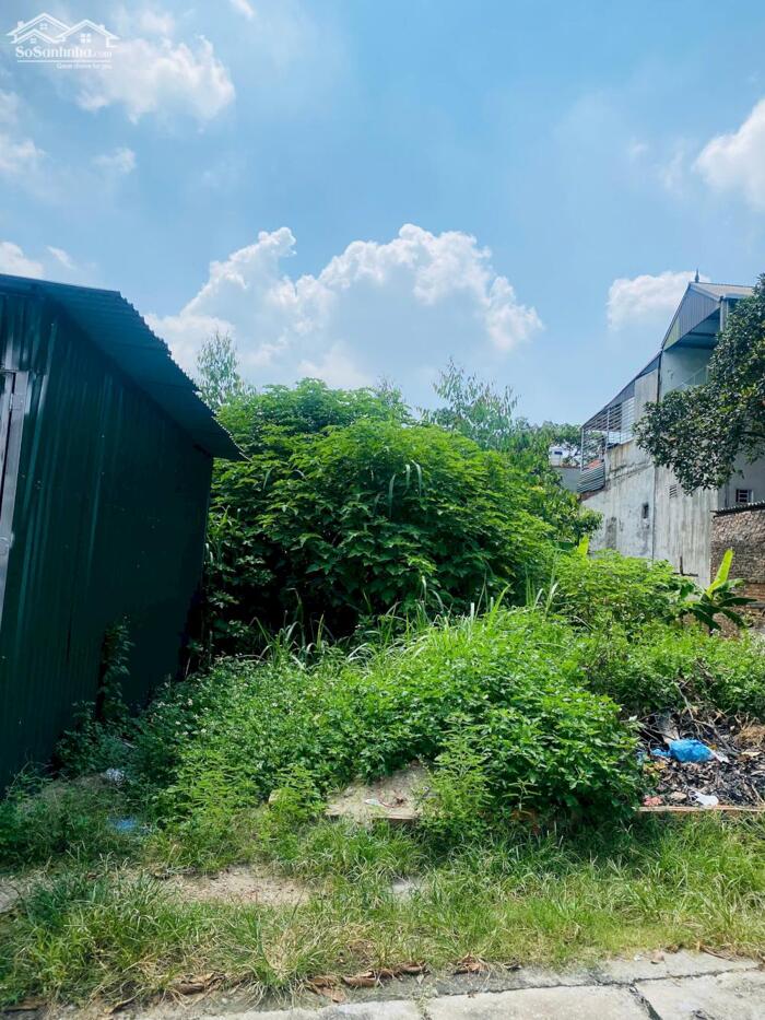 Hình ảnh Bán ô đất giá rẻ tại Lai Sơn, Đồng Tâm, Vĩnh Yên, Vĩnh Phúc. 1