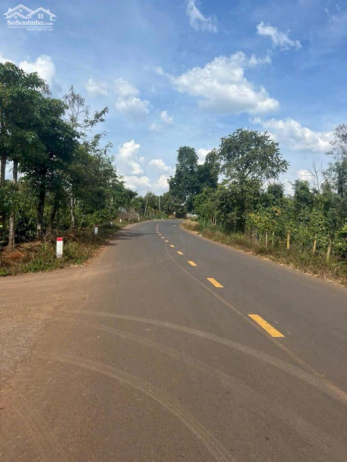 Hình ảnh Cưmagr- Đắk Lắkdt hơn 600m2 đất đỏ bazan có cà phê, tiêu, sầu riêng trên đất chỉ 149ttr bao sổ 0