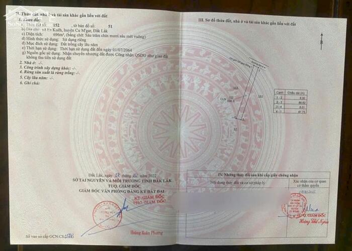 Hình ảnh Cưmagr- Đắk Lắkdt hơn 600m2 đất đỏ bazan có cà phê, tiêu, sầu riêng trên đất chỉ 149ttr bao sổ 4