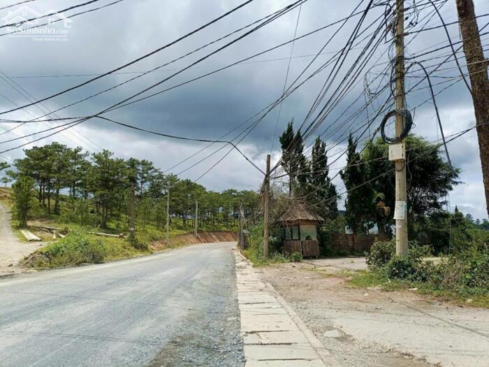 Hình ảnh Bán Đất Biệt Thự Mặt Tiền Cam Ly, Phường 7, Đà Lạt – View Đồi Thông Nghỉ Dưỡng 5