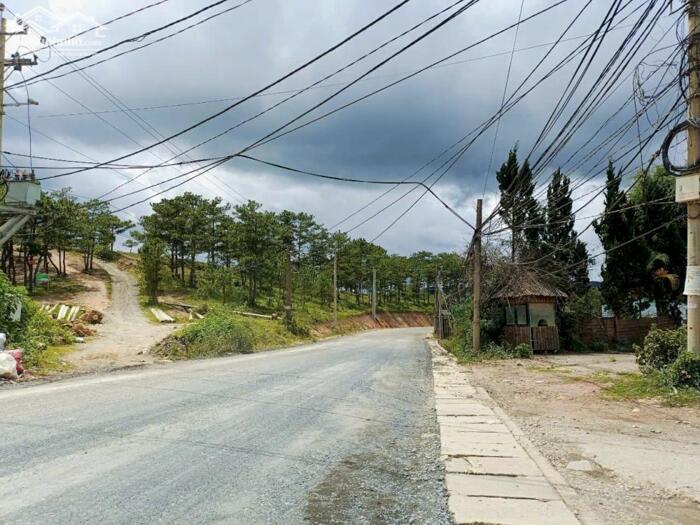 Hình ảnh Bán Đất Biệt Thự Mặt Tiền Cam Ly, Phường 7, Đà Lạt – View Đồi Thông Nghỉ Dưỡng 2