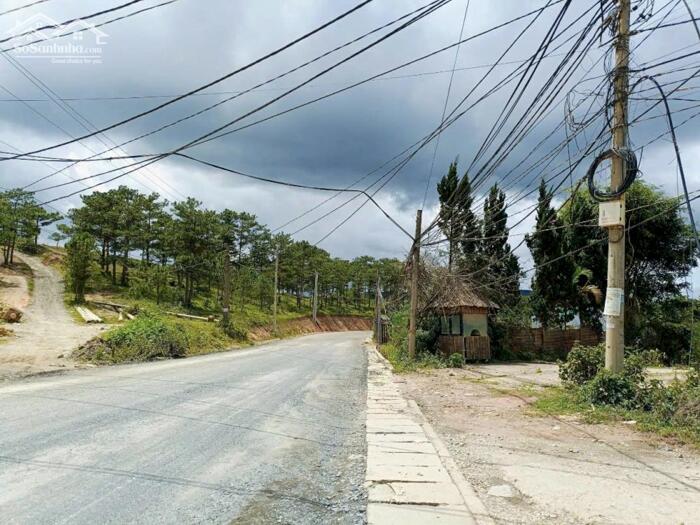 Hình ảnh Bán Đất Biệt Thự Mặt Tiền Cam Ly, Phường 7, Đà Lạt – View Đồi Thông Nghỉ Dưỡng 3