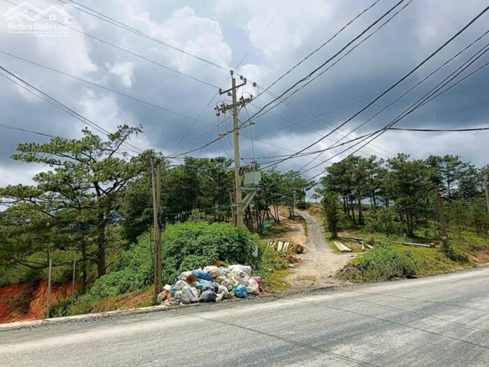 Hình ảnh Bán Đất Biệt Thự Mặt Tiền Cam Ly, Phường 7, Đà Lạt – View Đồi Thông Nghỉ Dưỡng 1