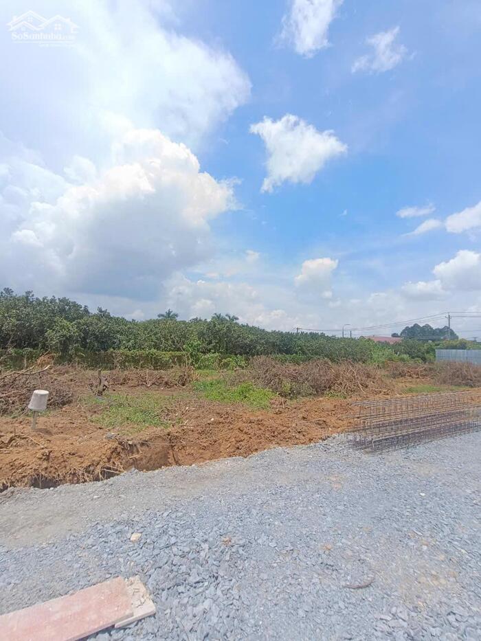 Hình ảnh Mở Bán 36 Lô Đất Sổ Riêng – Trung Tâm Tân Triều – View Sông – Chỉ Từ 400 Triệu 5