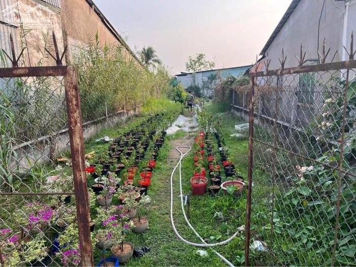 Hình ảnh Đất mặt tiền đường tô vĩnh diện view bờ kè cái sơn-hàng bàng 0