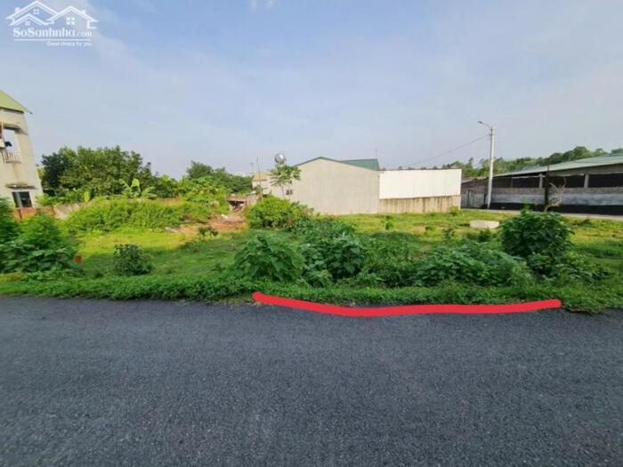 Hình ảnh Bán đất 100m2, hướng tây bắc tại thôn Mới, Thanh Vân, Tam Dương, Vĩnh Phúc 2