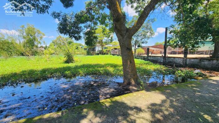 Hình ảnh bán đất thổ cư 15x33 hẻm Tôn Đức Thắng, Phước Hội, Lâm Đồng. Giá Rẻ 1