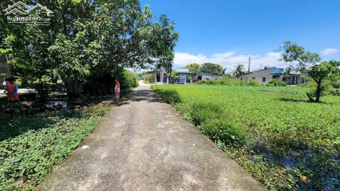 Hình ảnh bán đất thổ cư 15x33 hẻm Tôn Đức Thắng, Phước Hội, Lâm Đồng. Giá Rẻ 0