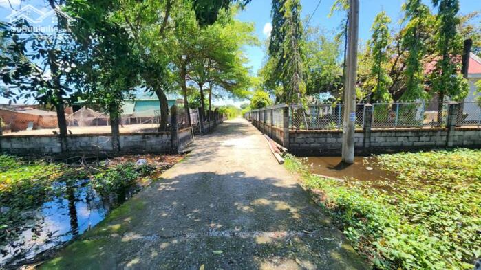 Hình ảnh bán đất thổ cư 15x33 hẻm Tôn Đức Thắng, Phước Hội, Lâm Đồng. Giá Rẻ 4