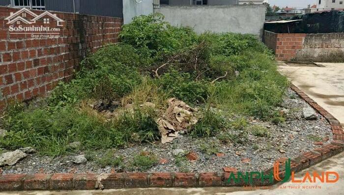 Hình ảnh Bán lô góc vị trí đắc địa trung tâm phường Thiên Hương, TP Hải Phòng 0