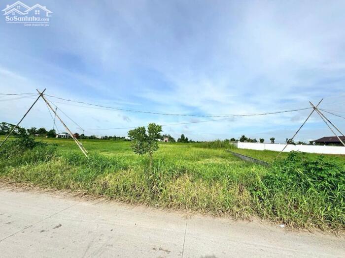 Hình ảnh Đất thổ cư 351m2 mt 7 mét xã Tân Lân Mới giá rẻ đầu tư 1 tỏi 5 2