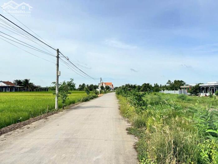 Hình ảnh Đất thổ cư 351m2 mt 7 mét xã Tân Lân Mới giá rẻ đầu tư 1 tỏi 5 1