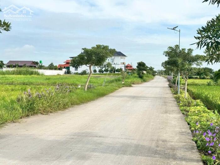 Hình ảnh Đất thổ cư 351m2 mt 7 mét xã Tân Lân Mới giá rẻ đầu tư 1 tỏi 5 3