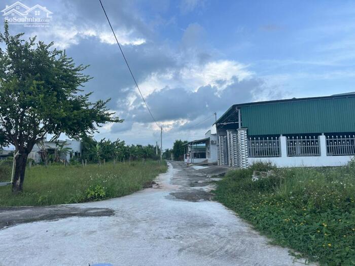 Hình ảnh 12x43(506m2) 60m2 tc Hẻm Đinh Công Tráng Tân Tiến Giá Rẻ Gần Biển 2