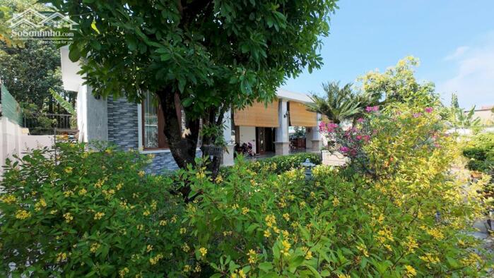 Hình ảnh Bán nhà sân vườn 628.8m2 gẫn Võ Nguyên Giáp Vĩnh Trung. 6