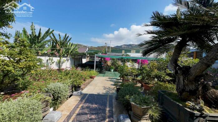 Hình ảnh Bán nhà sân vườn 628.8m2 gẫn Võ Nguyên Giáp Vĩnh Trung. 3