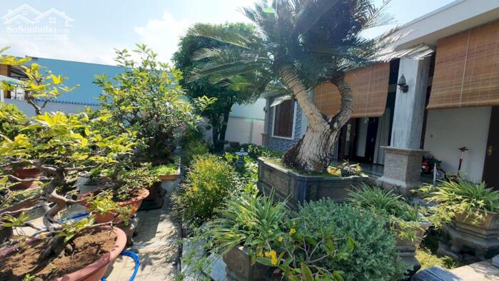 Hình ảnh Bán nhà sân vườn 628.8m2 gẫn Võ Nguyên Giáp Vĩnh Trung. 4