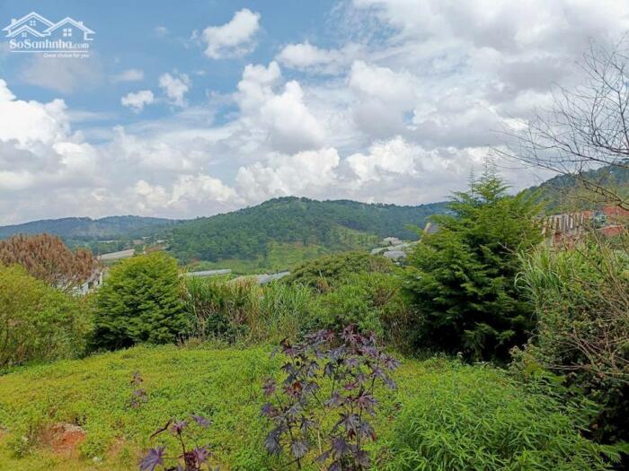 Hình ảnh Bán Đất Biệt Thự Mặt Tiền Măng Lin, Phường 7, TP. Đà Lạt – View Núi & Đồi Thông Thơ Mộng 2
