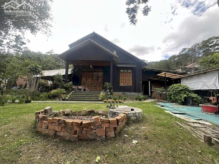 Hình ảnh Bán Đất Nghỉ Dưỡng Ngay Chân Đèo Pren – Tổ Hợp Villa Riêng Biệt Giữa Núi Rừng Hiệp An 4