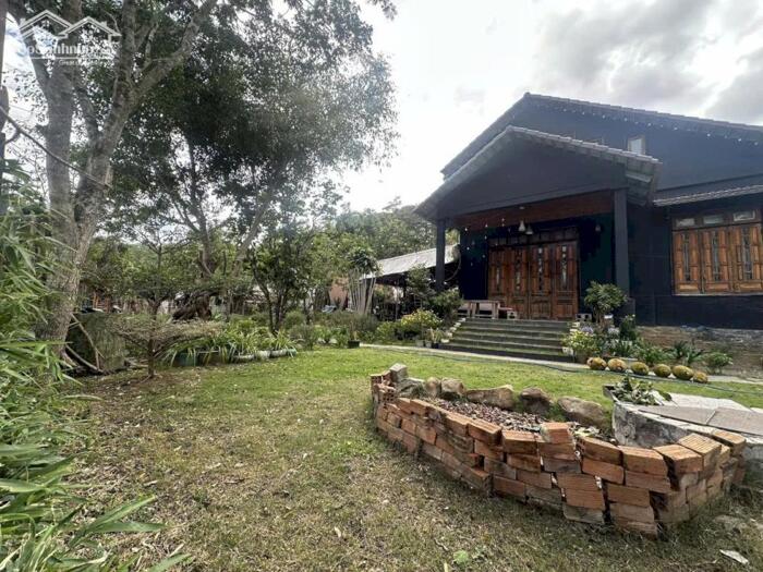 Hình ảnh Bán Đất Nghỉ Dưỡng Ngay Chân Đèo Pren – Tổ Hợp Villa Riêng Biệt Giữa Núi Rừng Hiệp An 3