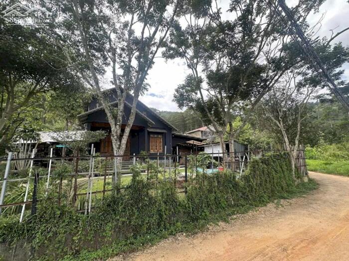 Hình ảnh Bán Đất Nghỉ Dưỡng Ngay Chân Đèo Pren – Tổ Hợp Villa Riêng Biệt Giữa Núi Rừng Hiệp An 1