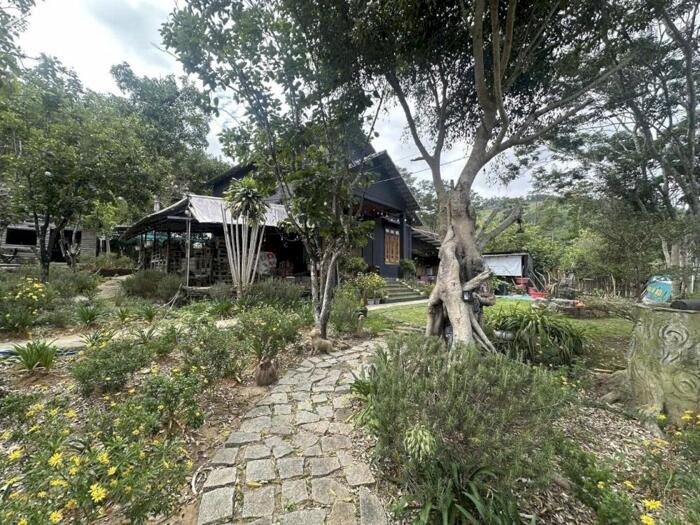 Hình ảnh Bán Đất Nghỉ Dưỡng Ngay Chân Đèo Pren – Tổ Hợp Villa Riêng Biệt Giữa Núi Rừng Hiệp An 2