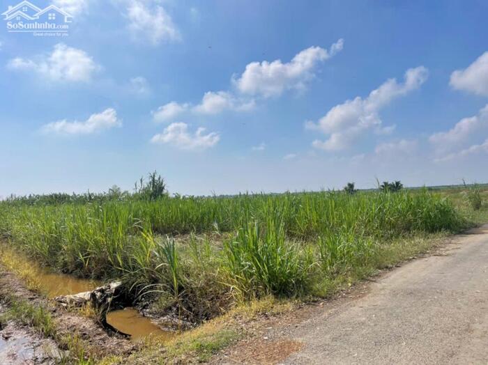 Hình ảnh bán 1 công đất thổ, mặt tiền nhựa gần biển Rạch Bùn, Tân Điền, TG giá 1 tỷ 3