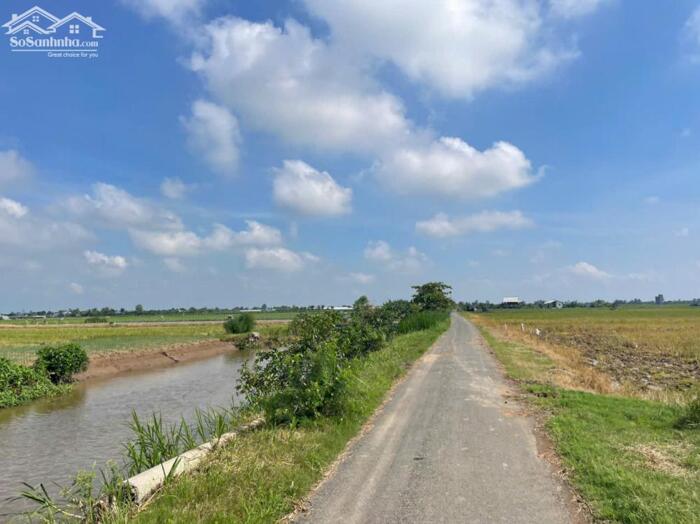 Hình ảnh bán 1 công đất thổ, mặt tiền nhựa gần biển Rạch Bùn, Tân Điền, TG giá 1 tỷ 0