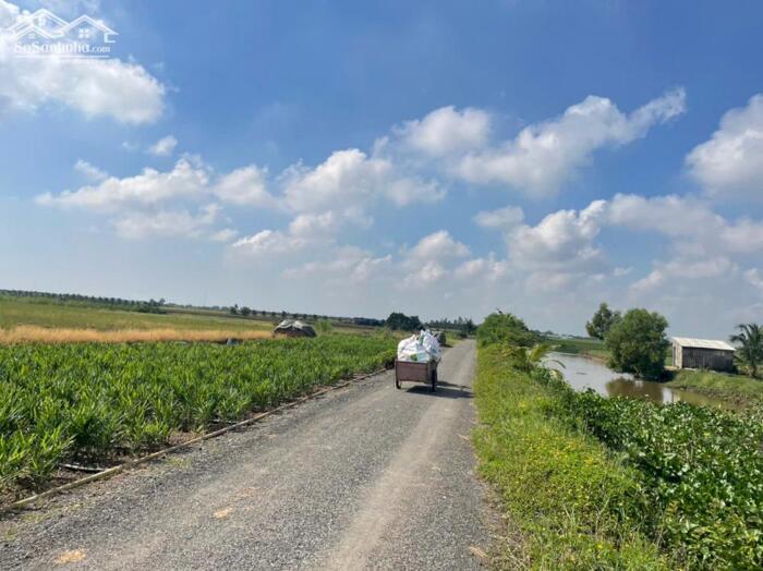 Hình ảnh bán 1 công đất thổ, mặt tiền nhựa gần biển Rạch Bùn, Tân Điền, TG giá 1 tỷ 1