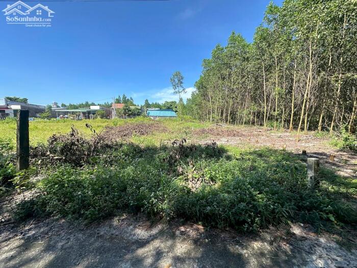 Hình ảnh Bán 5x27(135m2) 62m2 Tc Hẻm Lý Nam Đế Tân Phước LaGi Giá 650 Triệu 3