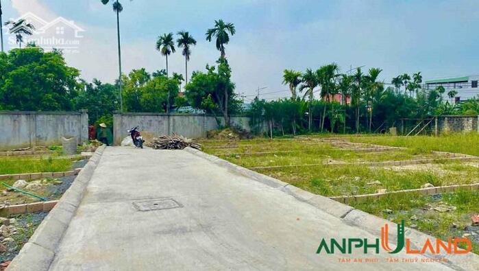 Hình ảnh Cần bán hàng cực đẹp tại Phường Thiên Hương ( xã Lâm Động), TP Hải Phòng 3