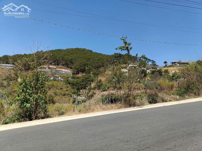 Hình ảnh Bán Đất Biệt Thự View Rừng Thông – Xã Xuân Thọ (Phường Xuân Trường), TP. Đà Lạt 3