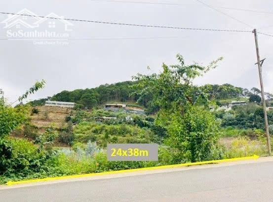 Hình ảnh Bán Đất Biệt Thự View Rừng Thông – Xã Xuân Thọ (Phường Xuân Trường), TP. Đà Lạt 0