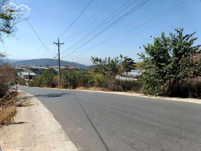 Hình ảnh Bán Đất Biệt Thự View Rừng Thông – Xã Xuân Thọ (Phường Xuân Trường), TP. Đà Lạt 2